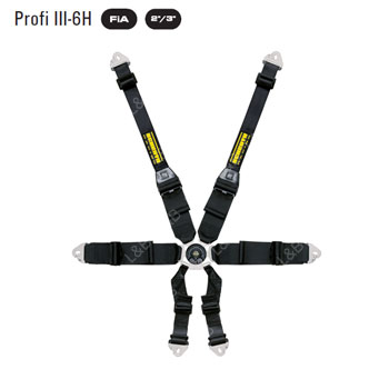 [슈로스]Profi III-6H