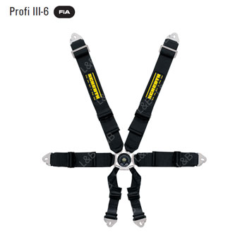 [슈로스]Profi III-6